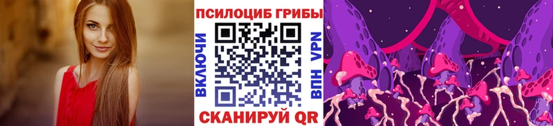 сайты даркнета клад Грайворон Псилоцибиновые грибы Psilocybine cubensis даркнет сайт
